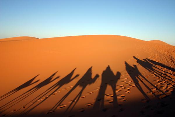 VIAJE AL SAHARA 04